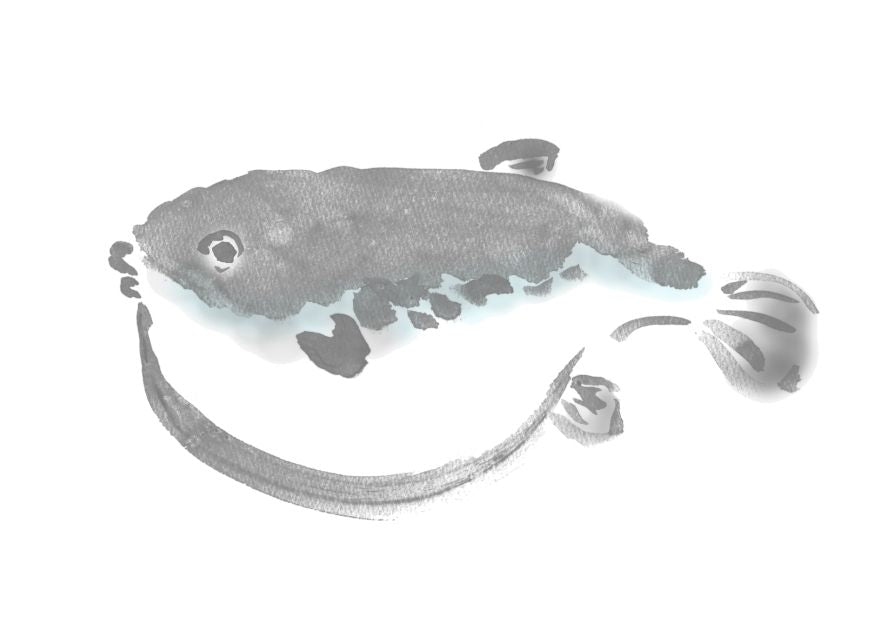 年末年始の発送・お問い合わせについて