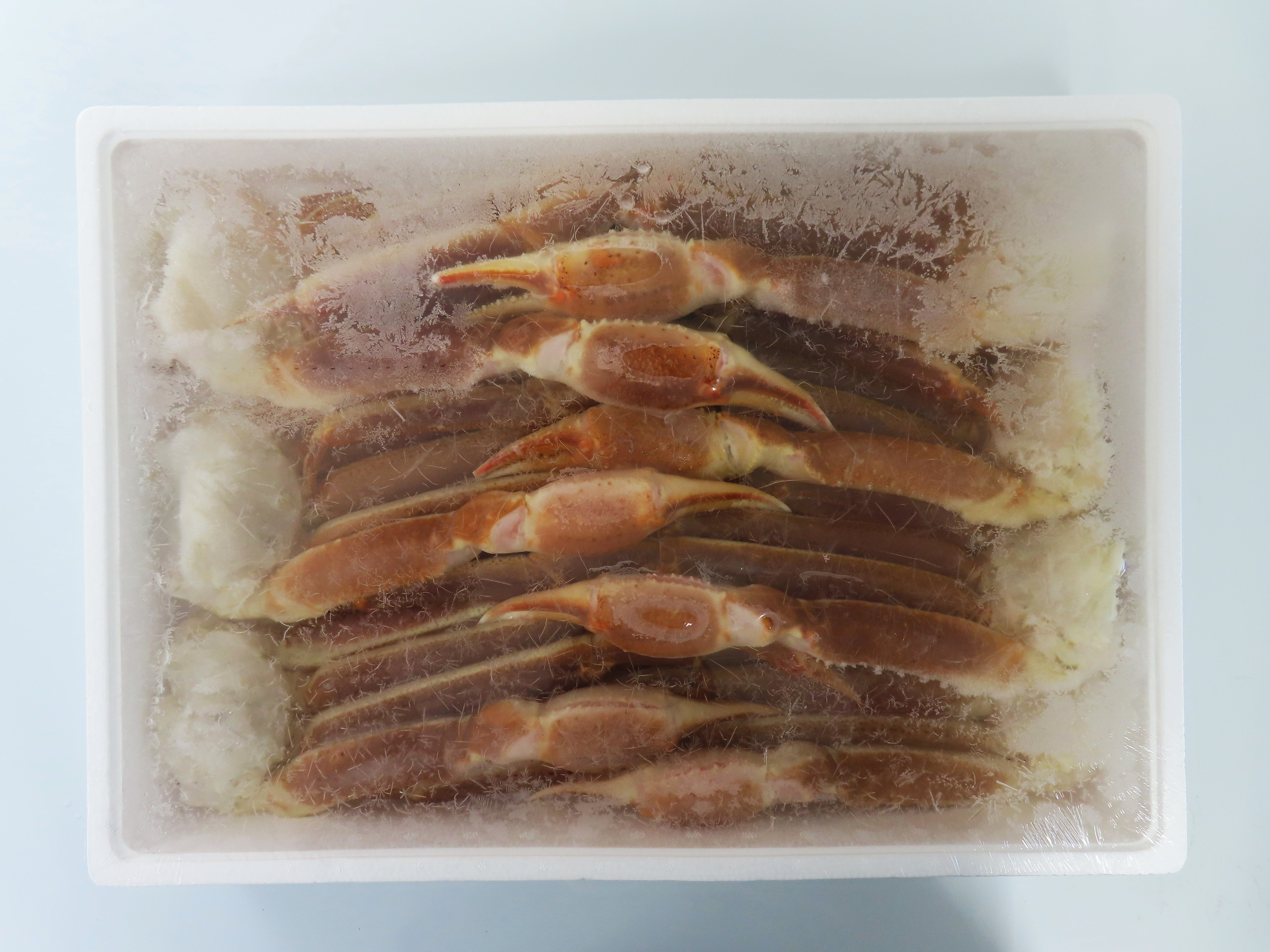 【数量限定】生ずわいがに(オピリオ種)3キロ